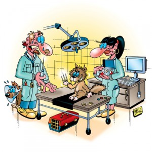 Tierarzt Praxis Comic-Bild