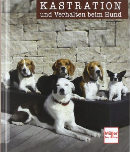 Kastration und Verhalten beim Hund