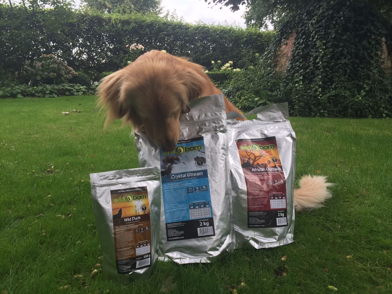 Im Test Hundefutter von Wildborn Hundetraumland.de