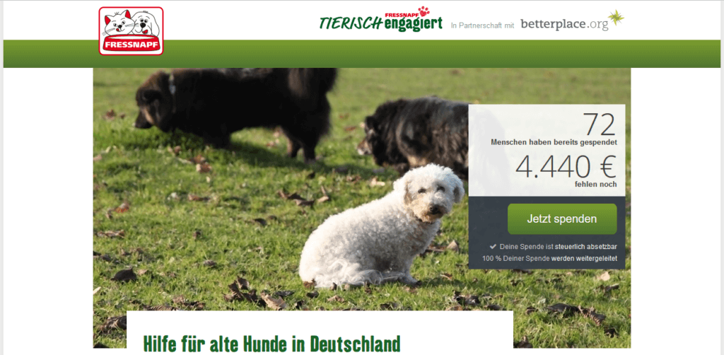 Hilfe für alte Hunde in Deutschland Hilfe für alte Hunde in Deutschland